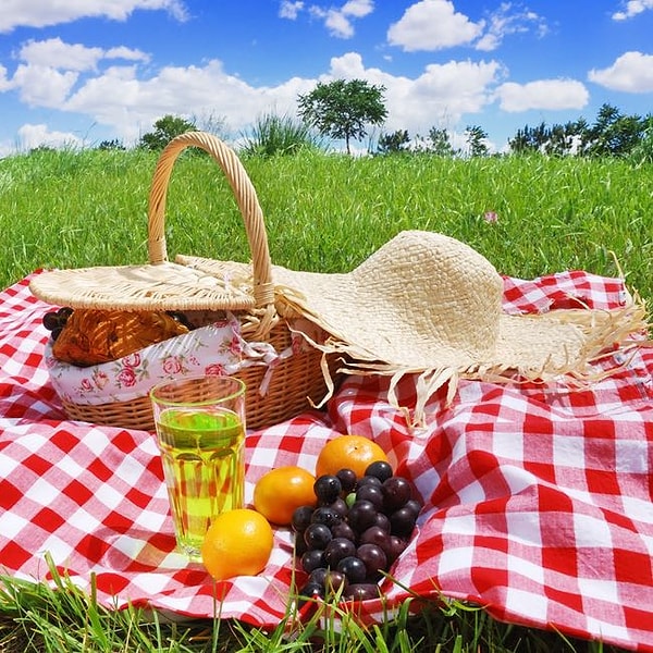 3. Устроить пикник на траве