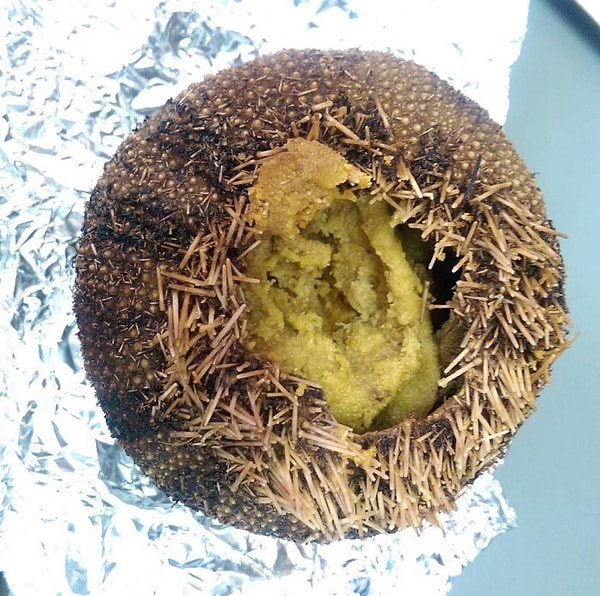 6. ''Sea Egg'' - Барбадос