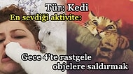 Kedinizin Hayattaki Tek Amacı Saf Şeytanlıksa Asla Kaçamayacağınız 19 Durum