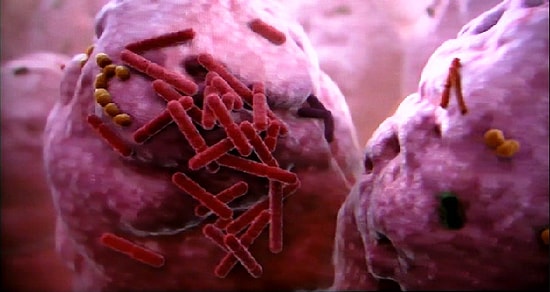 Farklı Türden Binlerce Bakteri Barındıran, Vücudumuzun En Pis Noktasını Biliyor musunuz?