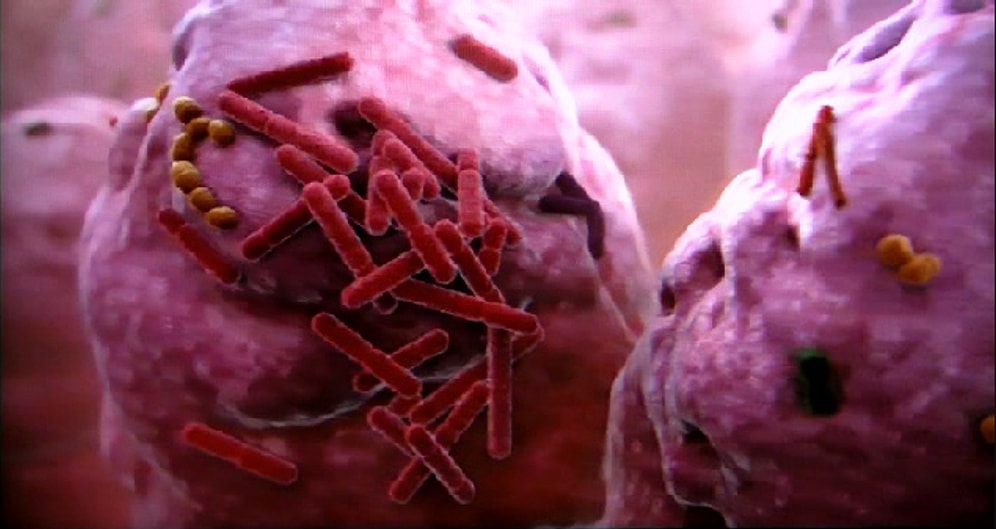 Farklı Türden Binlerce Bakteri Barındıran, Vücudumuzun En Pis Noktasını Biliyor musunuz?