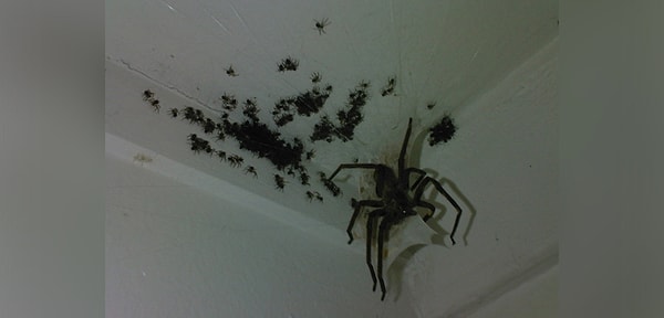 4. А эти красавчики как вам? Сможете идти дальше?