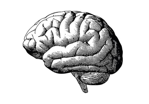 12. If you think about it, the brain named itself.