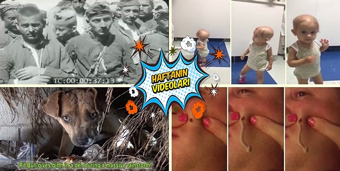 Geçtiğimiz Haftanın Mutlaka İzlemeniz Gereken 10 Videosu