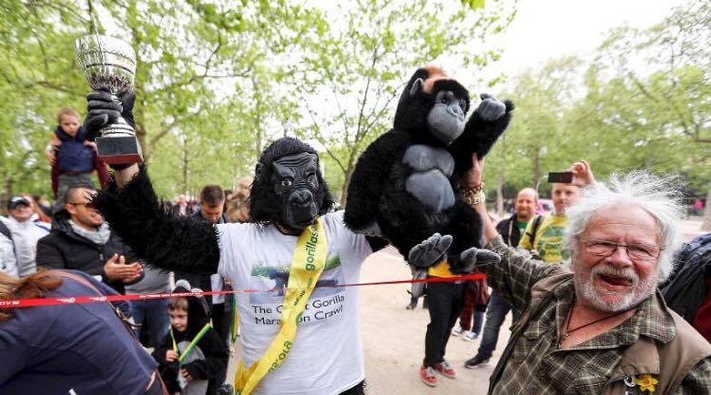 Gorillerin Nesli Tükenmesin Diye Goril Kostümüyle Sokak Sokak Dolaşan Adam