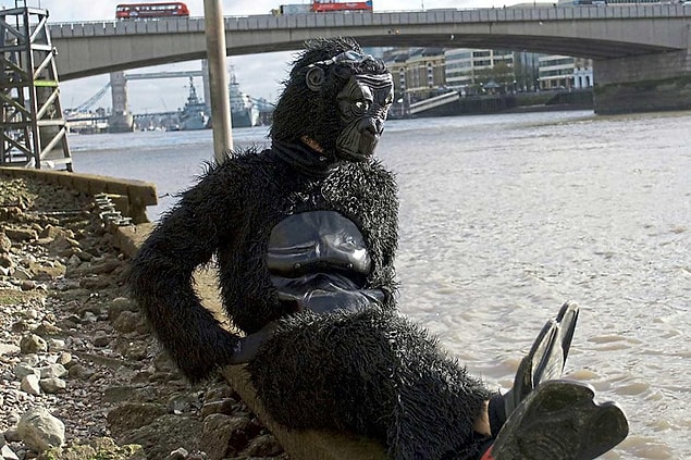 Gorillerin neslinin tükenmemesi için kurulan kuruluşa en fazla yardım yapan oymuş.