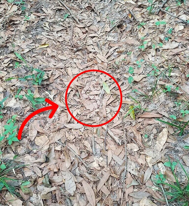 Tabii ki Helen, harika bir insan olduğu için bulamayıp pes edenlere bir ipucu bıraktı.