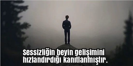 Sessizliğin Gerçekten de Altın Değerinde Olduğunu Kanıtlayan 10 İlginç Bilimsel Gerçek