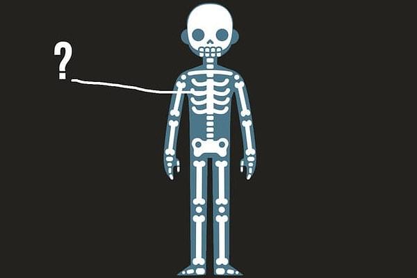 4. Bak bir organ bir kemik, böyle böyle öğrencen hepsini! Söyle bakalım bu ortadaki büyük kemiğin adı ne?