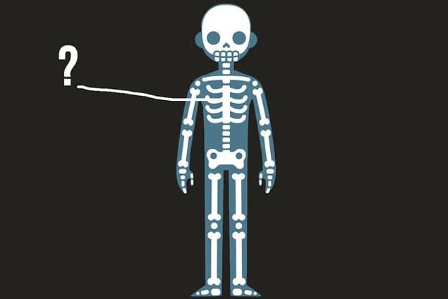 4. Bak bir organ bir kemik, böyle böyle öğrencen hepsini! Söyle bakalım bu ortadaki büyük kemiğin adı ne?