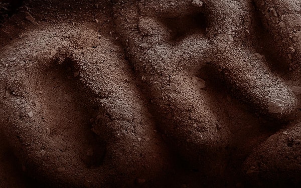 12. Печенье Oreo: