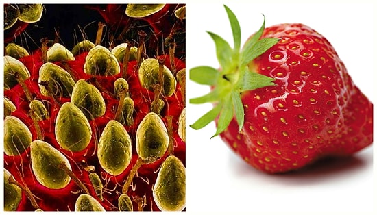 23 фотографии еды под микроскопом, после которых ваша жизнь никогда не станет прежней