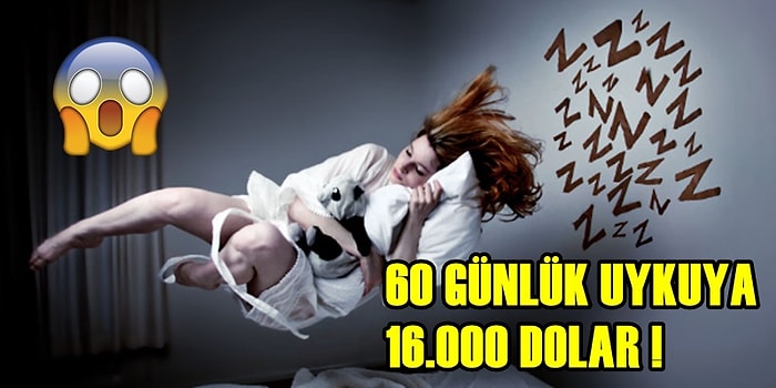 Tembellik Ödülü! 'Yattığı Yerden Para Kazanmak' İsteyenlere 16.000 Dolar Veren Araştırma