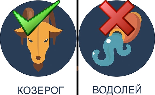 Идеальный партнер: Козерог. Ужасный партнер: Володей.