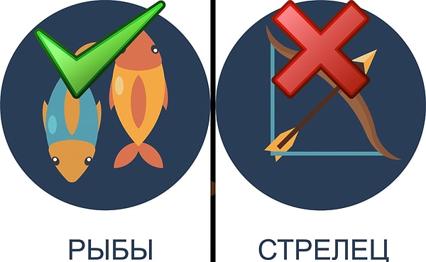 Идеальный партнер: Рыбы. Ужасный партнер: Стрелец.
