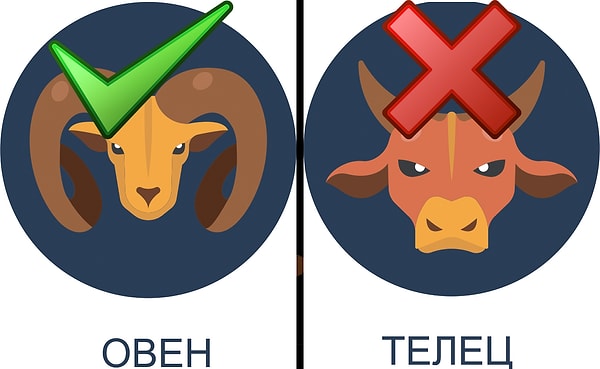 Идеальный партнер: Овен. Ужасный партнер: Телец.