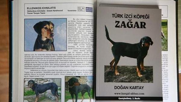 5. Oğuz Boyları’nın Orta Asya'dan getirdiği Türk izci köpeği zağar da artık Yunan diye geçiyor.