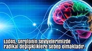 Ülkemizi Sık Sık Etkisi Altına Alan Lodosun İnsan Psikolojisi Üzerindeki Etkilerini Biliyor musunuz?