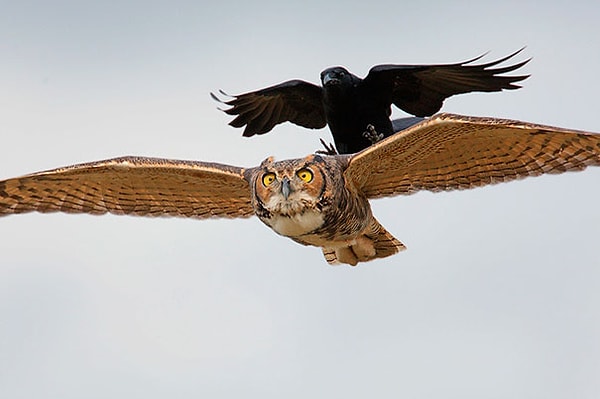 5. "ЭкономТакси"