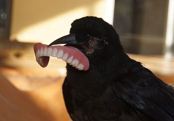 8. "А почему бы и нет?"