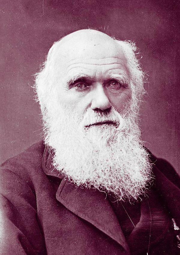 3. Charles Darwin (Biologist) & 00:00 - 07:00 and 15:00 - 16:00: Nap