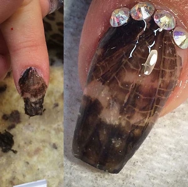 3. Менее жуткий вариант: маникюр, сделанный с использованием крыльев богомола.