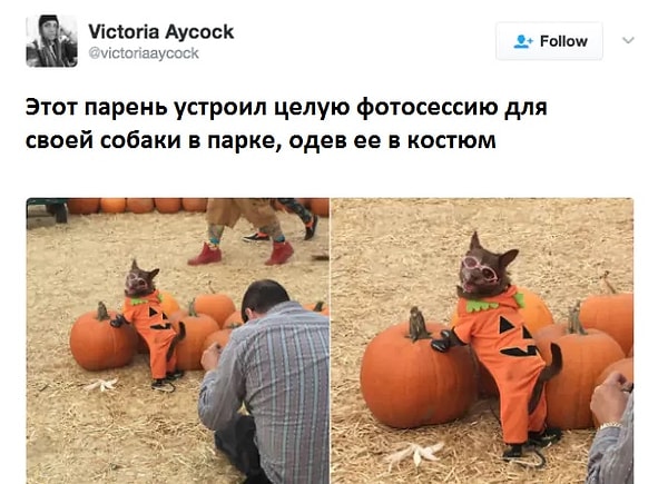 8. А как вы проводите свое воскресенье?