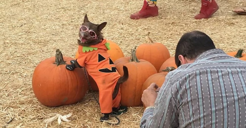 Не стоит прогибаться под изменчивый мир: 12 крайне экстраординарных личностей