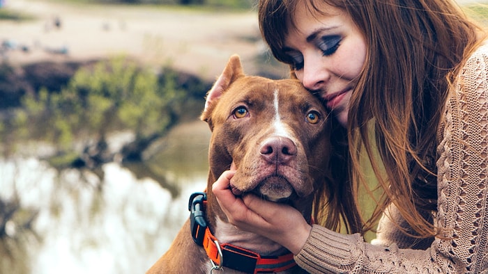 Yalnızca Köpek Sahibi Olanların Anlayabileceği 12 Şey