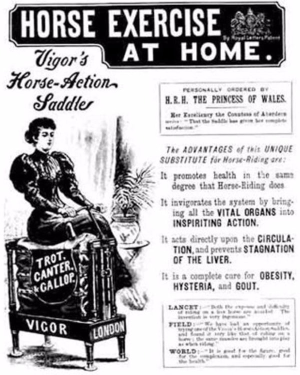 5. Домашний тренажёр верховой езды на лошади