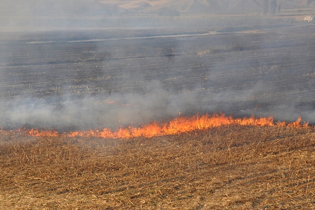11. 2013 Yılı Birincileri