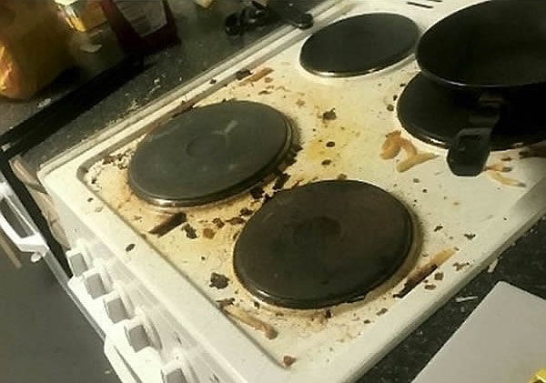 3. Всего в конкурсе приняло участие 982 студенческих дома