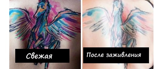 Думаете сделать татуировку? Эти 14 фото расскажут вам, что происходит с тату со временем