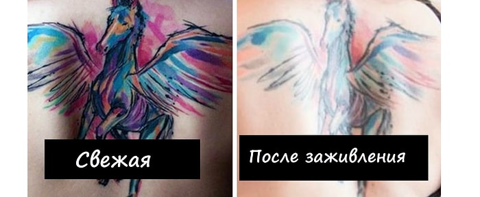 Думаете сделать татуировку? Эти 14 фото расскажут вам, что происходит с тату со временем