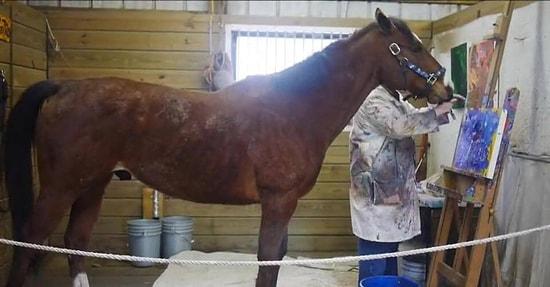 Metro: The Old Race Horse That Saved Its Life By Learning How To Paint