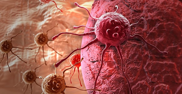 2. Через 28 дней у девочек не осталось и следа острого лимфобластного лейкоза, который угрожал их жизни.