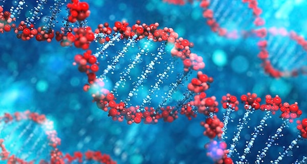 3. Это не только прорыв в области лечения рака, это также может стать недорогим способом избавиться от онкологического заболевания.
