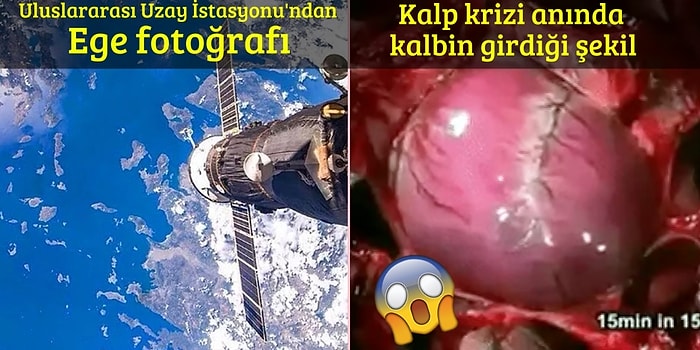 Öğrenme Açlığınızı Gidermese de Tadımlık Bir Etki Bırakacak 22 Bilimsel Görüntü