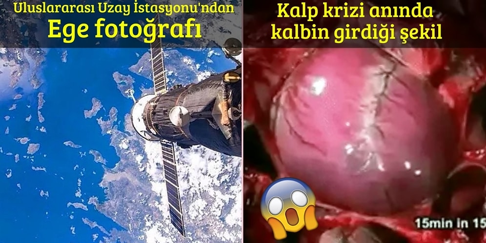 Öğrenme Açlığınızı Gidermese de Tadımlık Bir Etki Bırakacak 22 Bilimsel Görüntü
