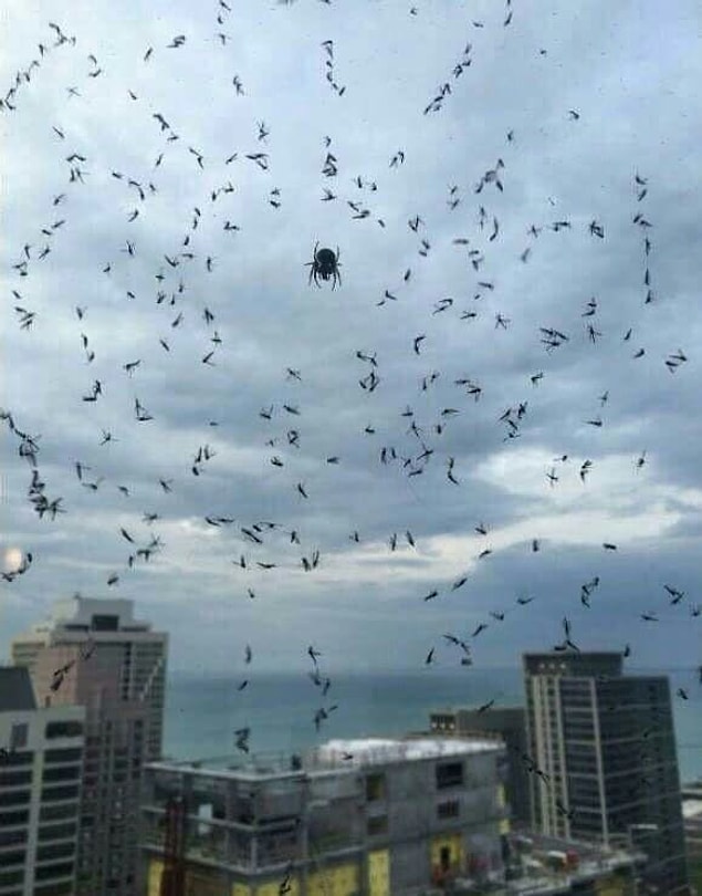 20. Tezgahı iyi yere açmış. 🕷