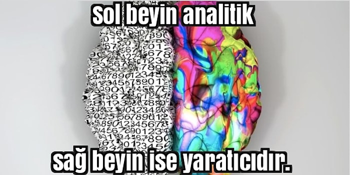 Pek Çok İnsanın Bilimsel Olduğunu Sandığı Ancak Hiçbir Dayanağı Olmayan 20 Söylenti