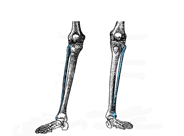 3. Немного усложним: как называется эта кость?