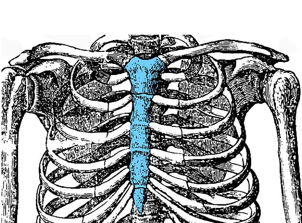 8. А что за кость здесь?