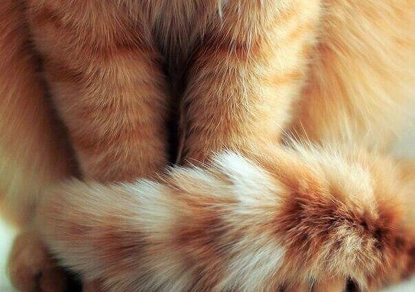 18. Если человек сделал тебе больно, не отвечай ему тем же. Сделай добро. Ты другой человек. Ты лучше.