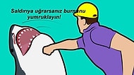 Bir Gün Mutlaka İşinize Yarayacak 11 Hayat Kurtarıcı Bilgi