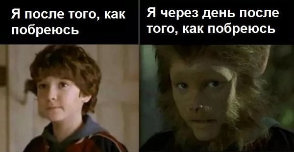 3. Неважно насколько чисто ты побрилась, через день-два все вырастет заново