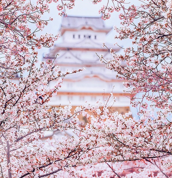 3. Замок Химэдзи (Замок белой цапли)