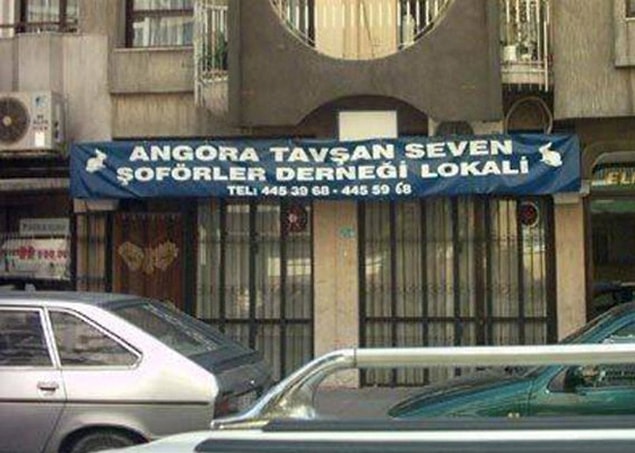 1. "Kamil Abi, şunun tüylerine bi bak Allahını seversen ya. Hanimiş burnu hanimiş?"