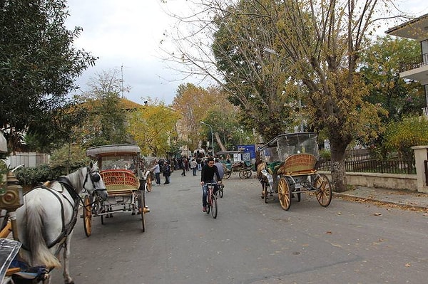 "Büyükada’da atlar için sağlık merkezi yok"