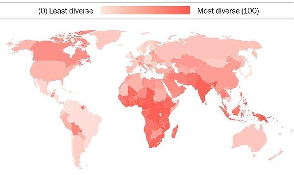 5. Hangi ülkede dil çeşitliliği ne kadar fazla?